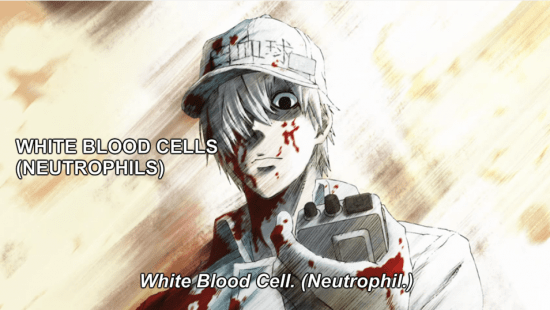 Mid-Week Review: Cells at Work! - Episode 1: Pneumococcus 