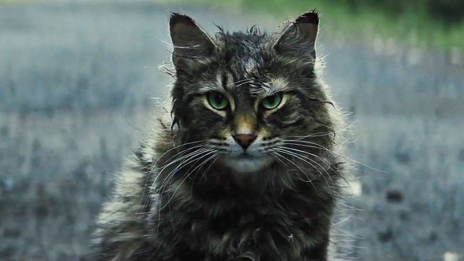 Pet Sematary (2019): A Return to Slow Burn Horror