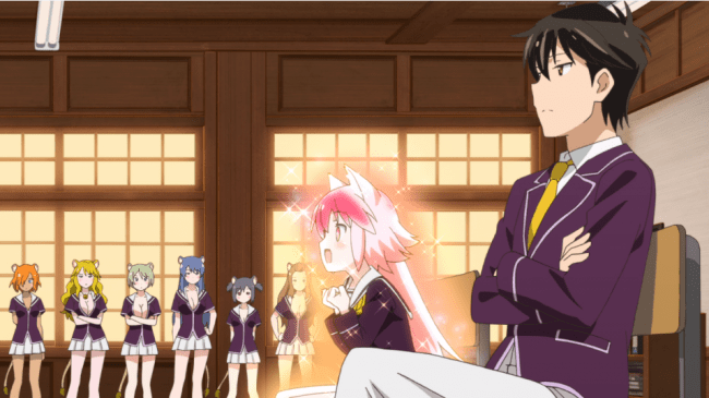 3 Episode Rule - Seton Academy: Join the Pack!