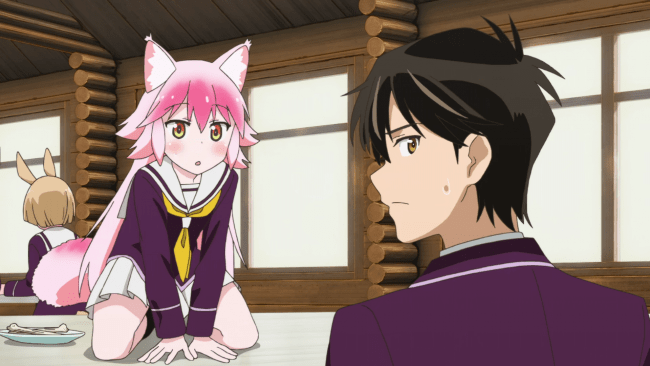 Seton Academy: Join the Pack! - Sometimes a little junk food can go a long way