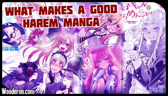 What makes a good Harem&nbsp;Manga